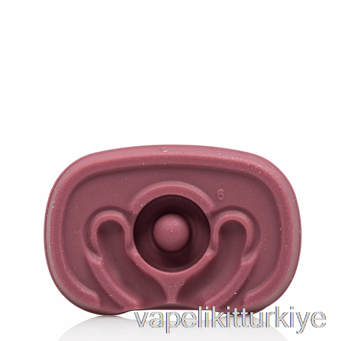 Elektronik Sigara Kalemi Vape Mate Pax Düz Ağızlık Mürver